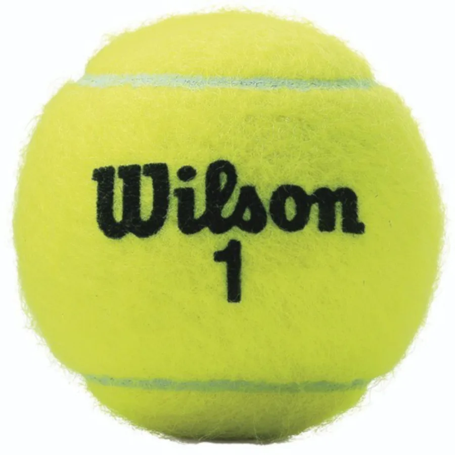Wilson "Championship Extra Duty" Tennisbälle 3erPack Damen und Herren Gelb